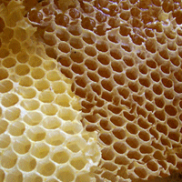 이미지 상세보기 이미지 상세보기