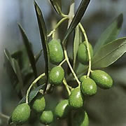 이미지 상세보기 이미지 상세보기