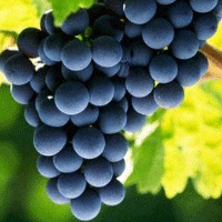 이미지 상세보기 이미지 상세보기