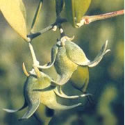 이미지 상세보기 이미지 상세보기