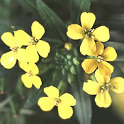 이미지 상세보기 이미지 상세보기