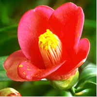 이미지 상세보기 이미지 상세보기