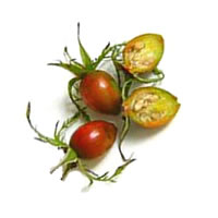 이미지 상세보기 이미지 상세보기