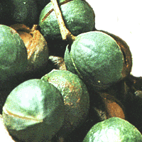 이미지 상세보기 이미지 상세보기