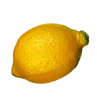 이미지 상세보기 이미지 상세보기