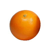 이미지 상세보기 이미지 상세보기