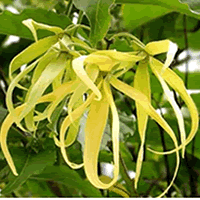 이미지 상세보기 이미지 상세보기