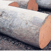 이미지 상세보기 이미지 상세보기