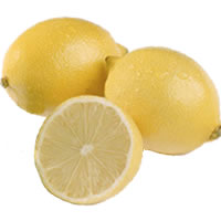 이미지 상세보기 이미지 상세보기