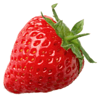 이미지 상세보기 이미지 상세보기