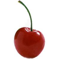 이미지 상세보기 이미지 상세보기