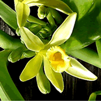 이미지 상세보기 이미지 상세보기