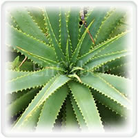 이미지 상세보기 이미지 상세보기