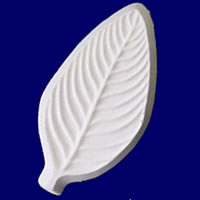 이미지 상세보기 이미지 상세보기