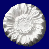 이미지 상세보기 이미지 상세보기