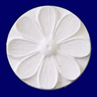 이미지 상세보기 이미지 상세보기