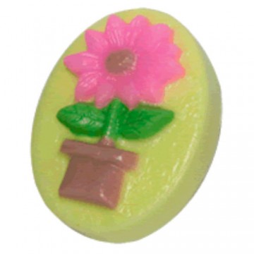 이미지 상세보기 이미지 상세보기