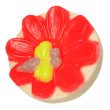 이미지 상세보기 이미지 상세보기