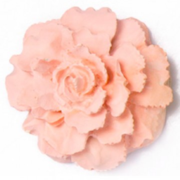 이미지 상세보기