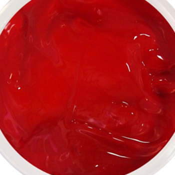 이미지 상세보기